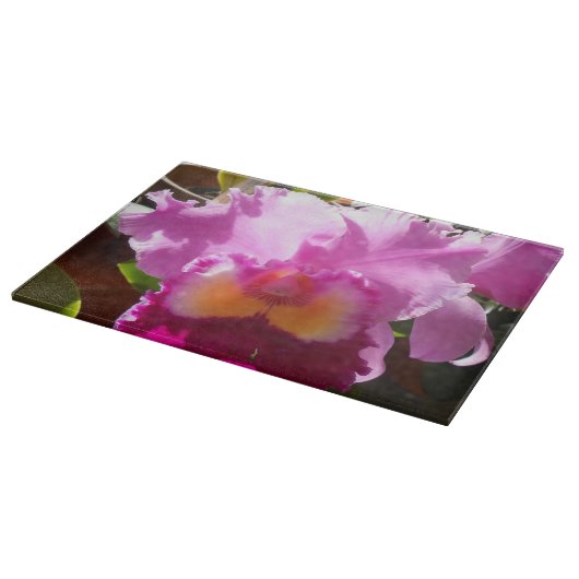 Harlinde Snijplank (Hoek)