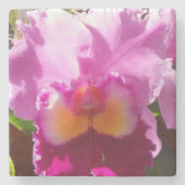 Harlinde Stenen Onderzetter (Voorkant)