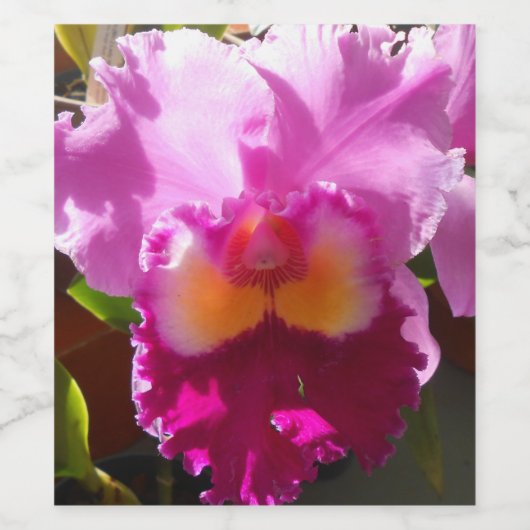 Harlinde Wijn Etiket (Enkel label)