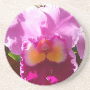 Harlinde Zandsteen Onderzetter