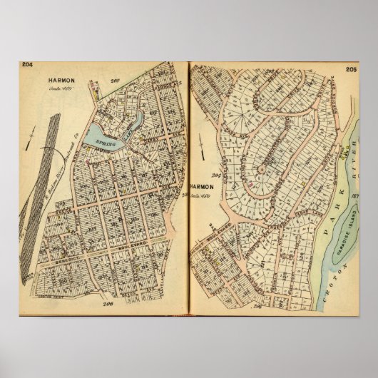 Harmon Park, New York 2 Poster (Voorkant)