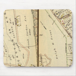 Harmon Park, New York Muismat