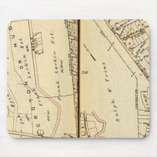 Harmon Park, New York Muismat (Voorkant)