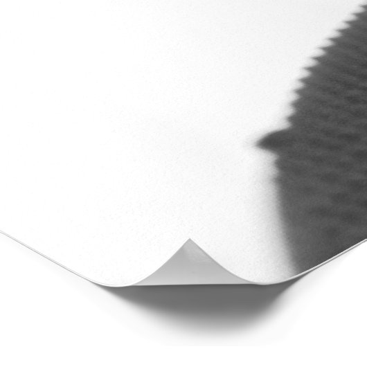 Harmonica Poster (Hoek)