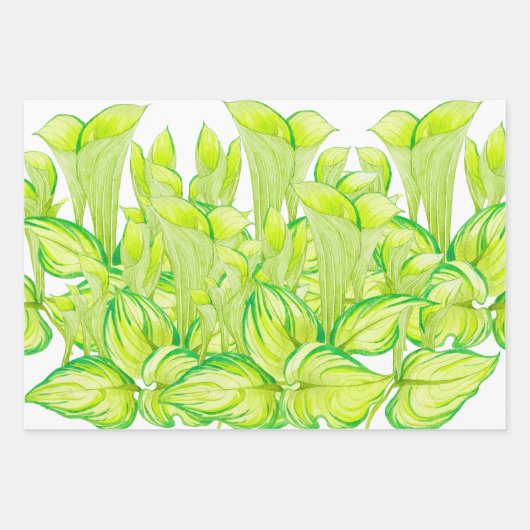 Harmonie in het groen op wikkelpapier Set Inpakpapier Vel (Voorkant)