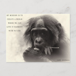 Harmonie met Natuur Briefkaart