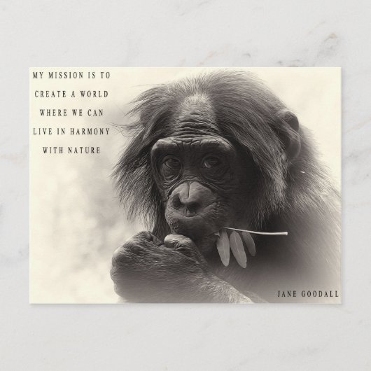 Harmonie met Natuur Briefkaart (Voorkant)