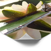 Harmonie op het water: kikker en waterlelie poster (Hoek)