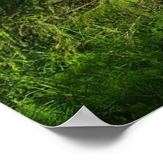 Harmony brengt vrede poster (Hoek)