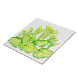 'Harmony in Green' op een keramische Tegel Tegeltje