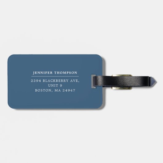 Harmony kleurrijke strepen bagage bagagelabel (Achterkant horizontaal)