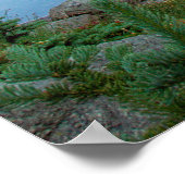 Harmony Lake II Poster (Hoek)