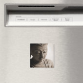 Harmony · Magneet (Insitu (Vaatwasser))