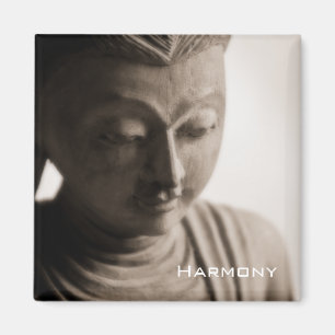 Harmony · Magneet