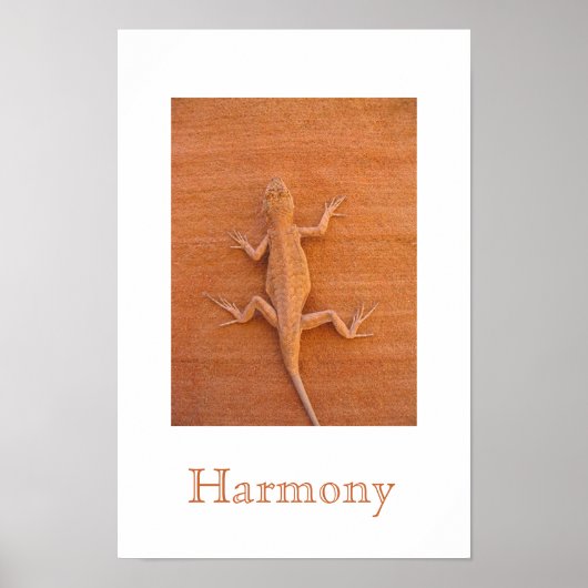 Harmony Poster (Voorkant)