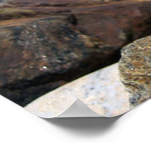 Harmony poster (Hoek)