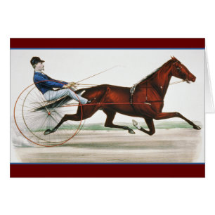 Harness Horse Racer - fijne kunst
