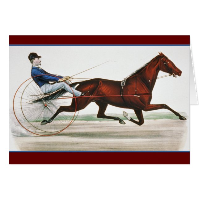 Harness Horse Racer -  fijne kunst (Voorkant Horizontaal)