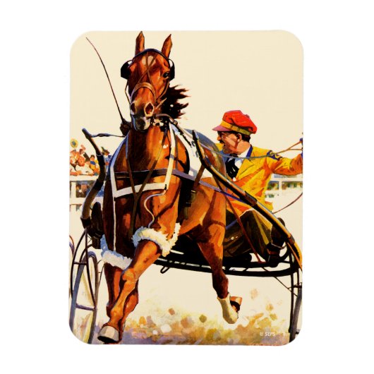 Harness Race Magneet (Verticaal)