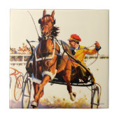 Harness Race Tegeltje (Voorkant)