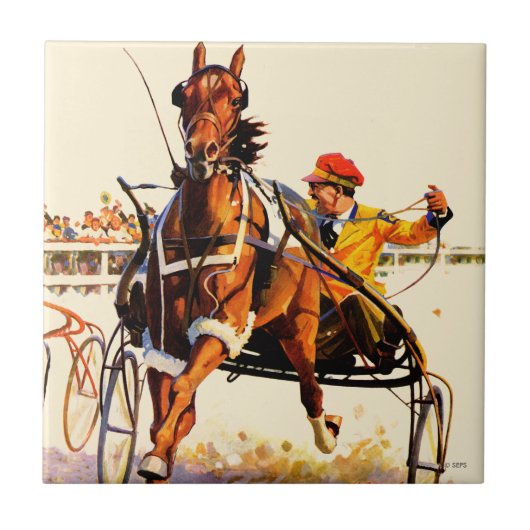 Harness Race Tegeltje (Voorkant)