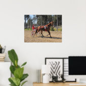 Harness racing afdrukken poster (Thuiskantoor)
