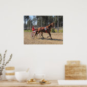 Harness racing afdrukken poster (Keuken)
