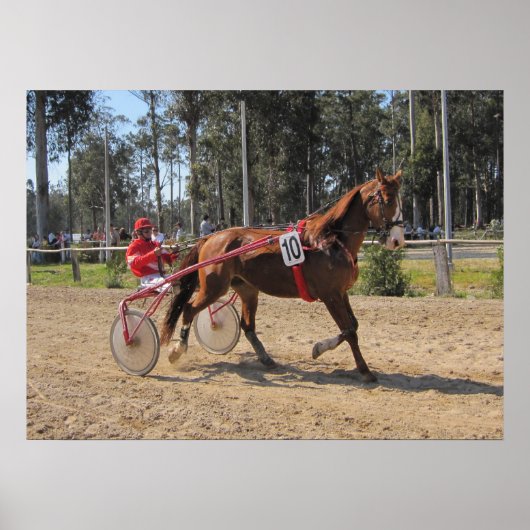 Harness racing afdrukken poster (Voorkant)