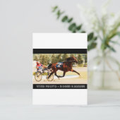 Harness Racing Briefkaart (Staand voorkant)