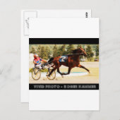 Harness Racing Briefkaart (Voorkant / Achterkant)