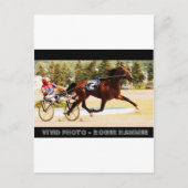 Harness Racing Briefkaart (Voorkant)