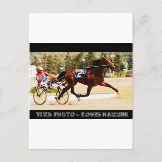 Harness Racing Briefkaart (Voorkant)