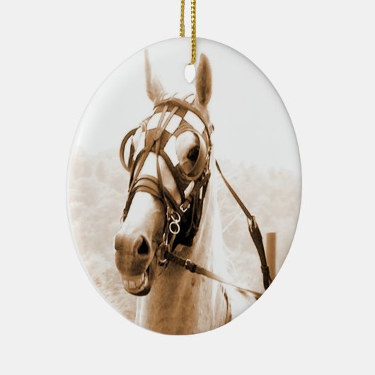 Harness Racing ornament (Rechts)