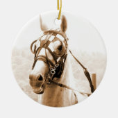Harness Racing ornament (Voorkant)