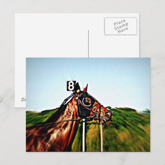 Harness Racing Post Card Briefkaart (Voorkant / Achterkant)