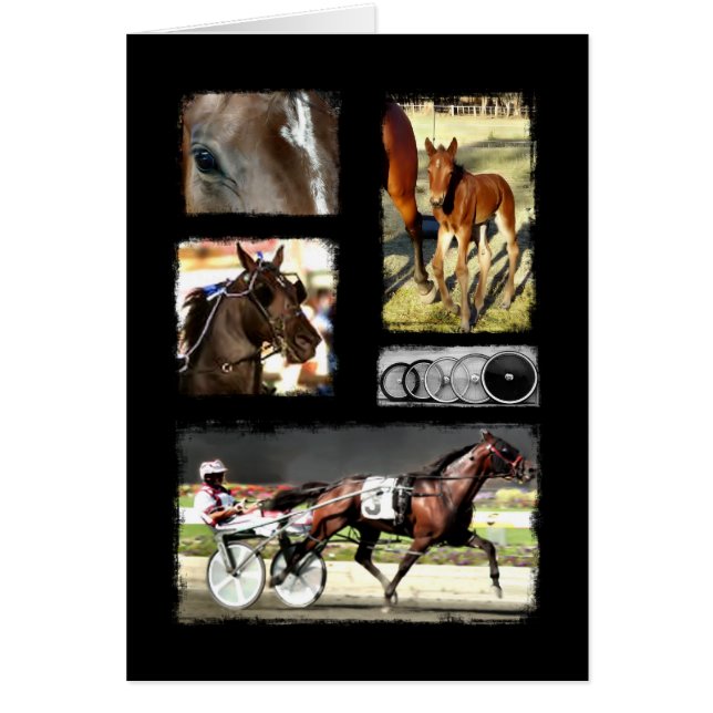 Harness Racing Sport (Voorkant)