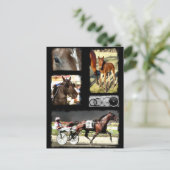 Harness Racing Sport Briefkaart (Staand voorkant)
