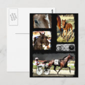 Harness Racing Sport Briefkaart (Voorkant / Achterkant)