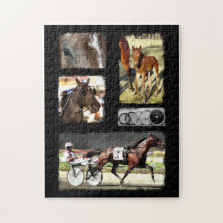Harness Racing Sport Legpuzzel