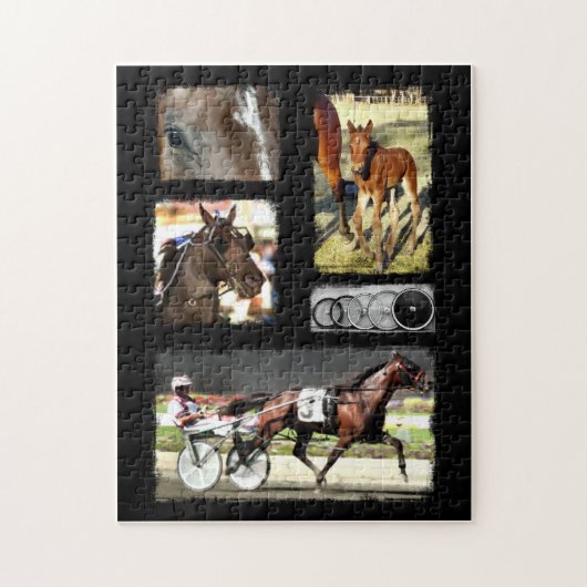 Harness Racing Sport Legpuzzel (Verticaal)