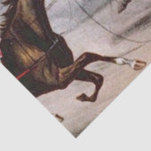 Harness Racing Tissuepapier (Detail)