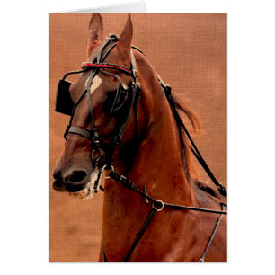 Harness Saddlebred Digital Art