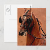 Harness Saddlebred Digital Art Briefkaart (Voorkant / Achterkant)