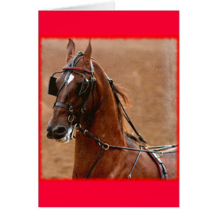Harness Saddlebred Digital Art Red Border