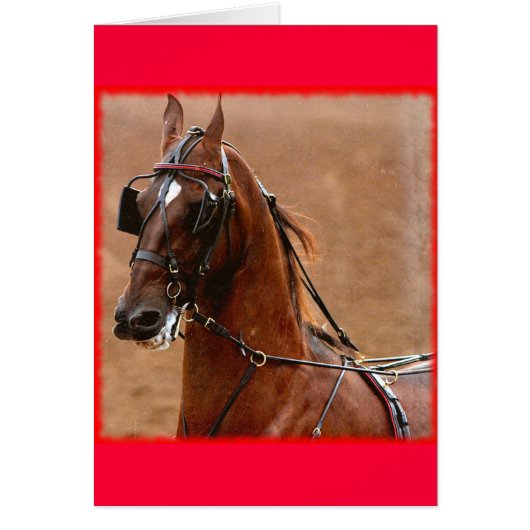 Harness Saddlebred Digital Art Red Border (Voorkant)