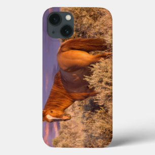 Harney County Wild horse stand alert Case-Mate iPhone Case