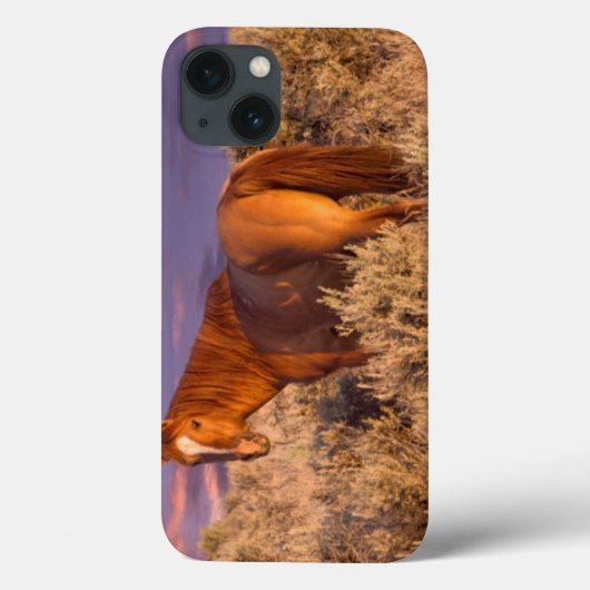 Harney County Wild horse stand alert Case-Mate iPhone Case (Achterkant)