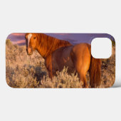 Harney County Wild horse stand alert Case-Mate iPhone Case (Achterkant (horizontaal))