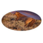 Harney County Wilde paard staat alert Snijplank (Hoek)