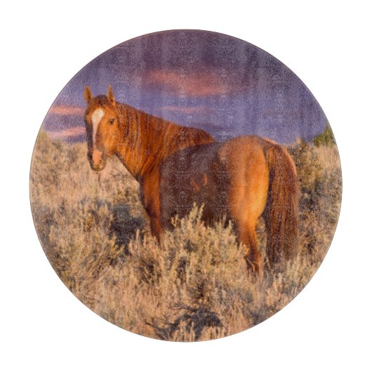 Harney County Wilde paard staat alert Snijplank (Voorkant)
